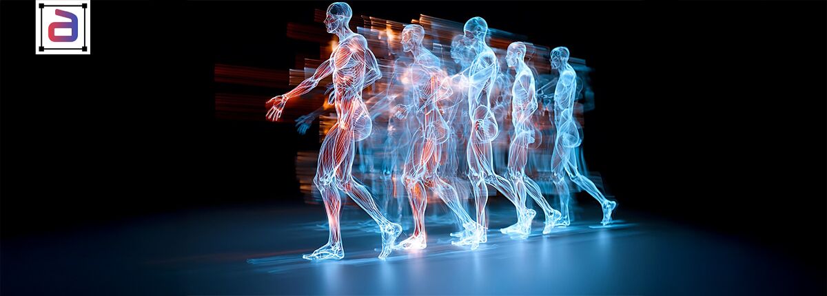 Human skeletal annotation services