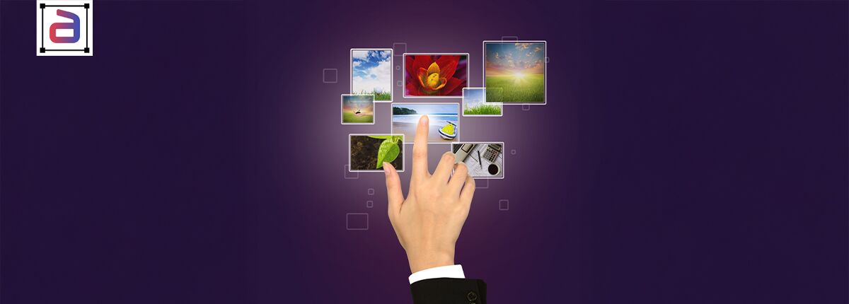 Image categorization services
